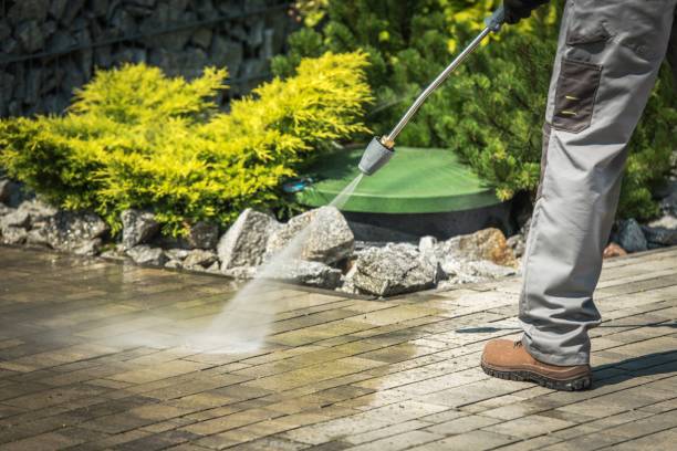 Best Building Exterior Washing  in Park Falls, WI