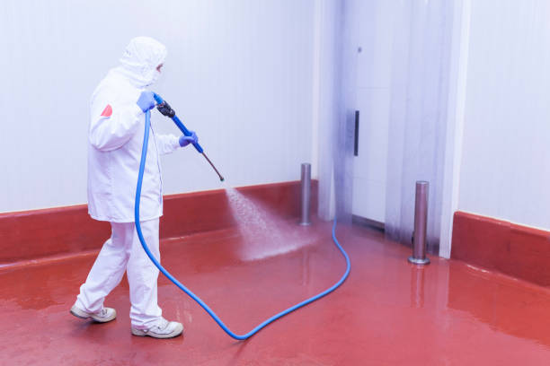 Best Graffiti Removal  in Park Falls, WI
